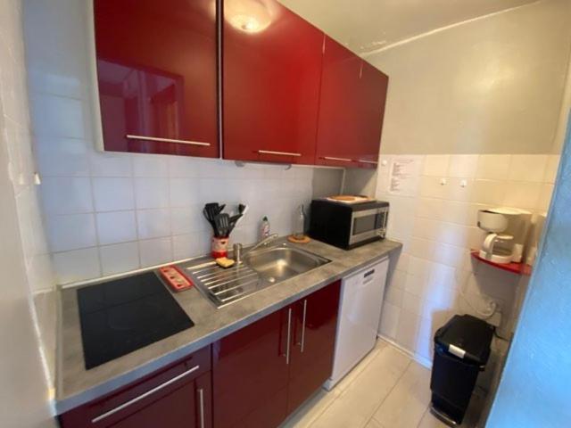 Cortina3 Apartment Puy-Saint-Vincent